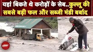 Manali: Kullu की सबसे बड़ी फल और सब्जी मंडी हुई तबाह, देखें बर्बादी की नई तस्वीर | Himachal Pradesh