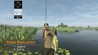 Fishing Planet Mobile (IoS) - Farm Everglades Level 23 ao 28 !!!