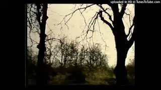 emotional ambient, seasons sam austins type beat