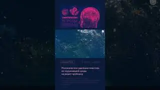 #125 Механическое удаление пластика из окружающей среды не решит проблему