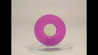 10'' Schallplatte [Pallas Group]