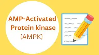 AMP-Activated protein kinase(AMPK)