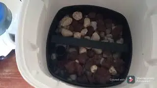 Dos Filtros Canister Sunsun 302 A  en Un Acuario
