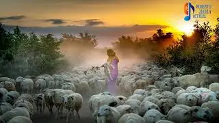 THE LONELY SHEPHERD @jameslast5987