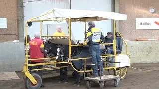 TV Berghem: Stichting Manege 't Huifbed, Oijen