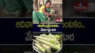 Komaram Bheem Asifabad: ఆదివాసీల ప్రత్యేక వంటకం.. 'వేదురు గడ్డల కూర' | hmtv