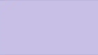 Lavender Screen for 1 hour | Pure Lavender| Background Screen | Supports HD - 1080p |REFRESHING TUBE