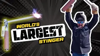Worlds LARGEST Stinger!