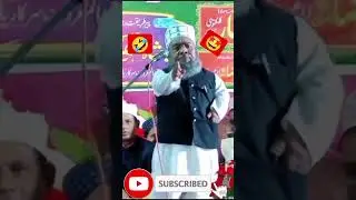 🤩naat ka matlab 😱batado Halchal siwani 🥱#shorts #viral #short #youtubeshorts