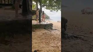 Brazil beach balenearo #beach #summervibes #ubatubalinda