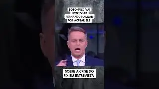 Bolsonaro vai processar Haddad, por acusa&ccedil;&otilde;es de fazer Fake News do Pix