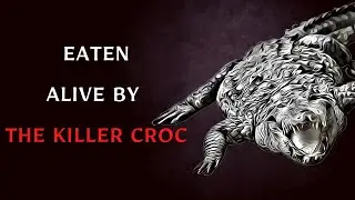 The Story Which Inspired The Movie 