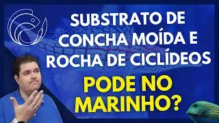 SUBSTRATO DE CONCHA MO&Iacute;DA E ROCHA DE CICL&Iacute;DEOS... PODE NO MARINHO?