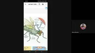 Live JAMB Biology Tutorial 