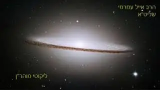 הרב אייל עמרמי שליט