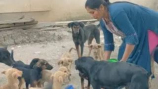 Bejuban ko khna Dediya #🐶🍜#cute dog #