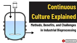 Continuous Culture Systems Explained: Principles, Process & Applications | Biotechnology Guide