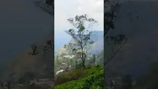 #LiptonsSeat #Uva #Badulla #Haputale #Ella #Bandarawela #SriLanka #TravelSriLanka #Ceylon