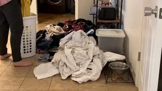 COMPLETE DISASTER CLEAN WITH ME ~ CLEANING MOTIVATION~ Real Time CLEANING MOTIVATION