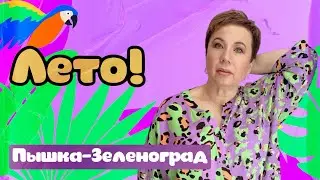 ЖЕНСКАЯ ОДЕЖДА БОЛЬШИХ РАЗМЕРОВ М-Н «ПЫШКА-ЗЕЛЕНОГРАД» #406