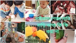 সাইফান শেজা নানির বাড়িতে আজ কি কি করলো❤️ #everydayvlogger #viralvideo #trending #vlog #family #new