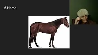 TOP TEN CHESS PIECES OF ALL TIME!!!!! NUMBER ONE WILL SUPRISE YOU!!!!