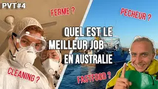 Australie Episode 4 PVT: Meilleurs jobs en Australie
