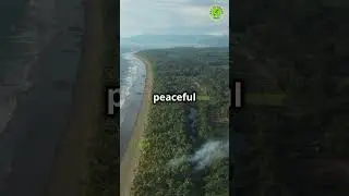 The World&rsquo;s Only Military-Free Country: Discover Why It Works!