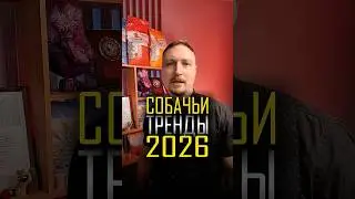 Уход за собакой в 2026 - главные тренды, о которых должен знать каждый #собака
