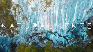 NATURALMENTE - Gabriele Moroni