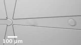 Droplet generator