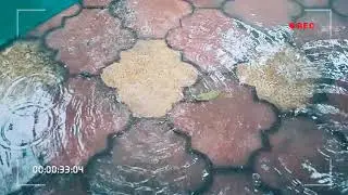 #mothernature #water #waves |  #waterdrop  to #waterwaves | #surface tension , #damped  #frequency