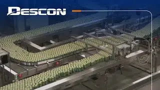 Descon Conveyor - Full Can Conveyor