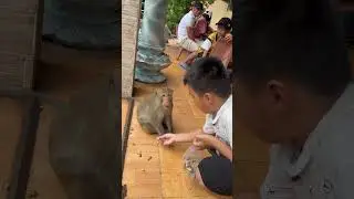 Pchua achui chuchalala