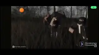 raw media archives brutality