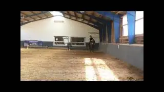 Halsring-K&uuml;r Christiane und Beverly