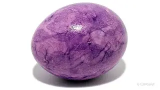Easter Egg Time-Lapse