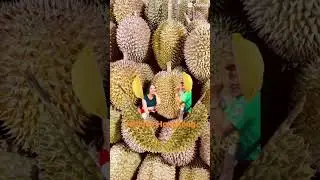 Durian Fruit #capcut #capcutviral #fruitslice #fruitvideo #trendingvideo #asmr #viralvideo