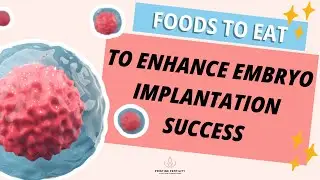 Top Foods to Boost Implantation Success