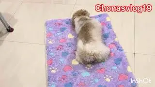 Смешанные видео о Минни