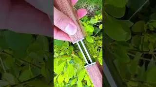 wow#beautifultools #sawblade #edc #medievalblacksmith #wood #woodworking #blade #handmade #tools