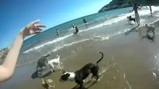 Playa con perros!! Valcarca!