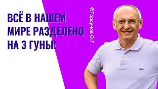 Всё в нашем мире разделено на 3 Гуны! Торсунов лекции