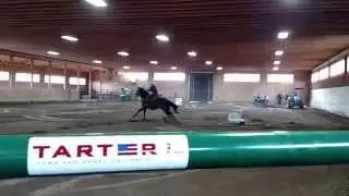 Shiner TWF 3 28 15 Race #2