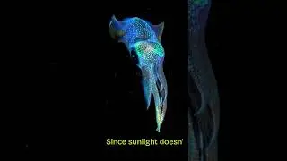 😱Glowing Beasts of the Abyss 😱💡 #facts #deepsea #ocean #marinemystery #sea #love