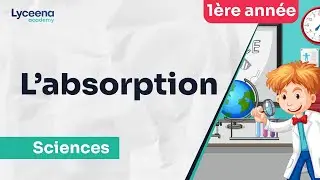 Les détails du cours l'absorption en SVT