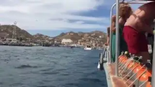 Cruising back to the Marina from Land's End- Cabo