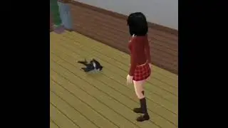 Cat dancing speedcore