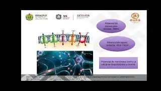Metabolismo cerebral y fisiopatología de daño cerebral