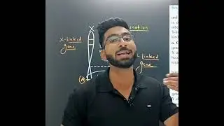 Sex linkage || Inheritance and Variation || class 12 Biology || MHT CET || NEET